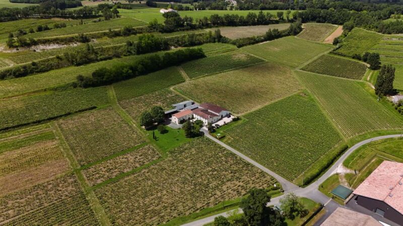 Château Petit Mangot's aperitif: charcuterie, cheeses, and wines - Discover the Authentic Charm of Château Petit Mangots Private Aperitif