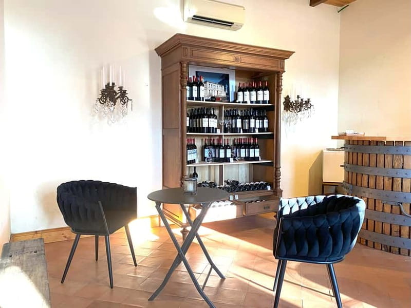 Château St-Emilion Grand Cru visit and Grand Cru and Pomerol tasting - Tasting Four Wines from Saint-Emilion and Pomerol