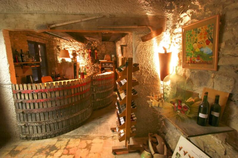 Château Villemagne: Tour of the cellar and tasting of our wines. - Key Points