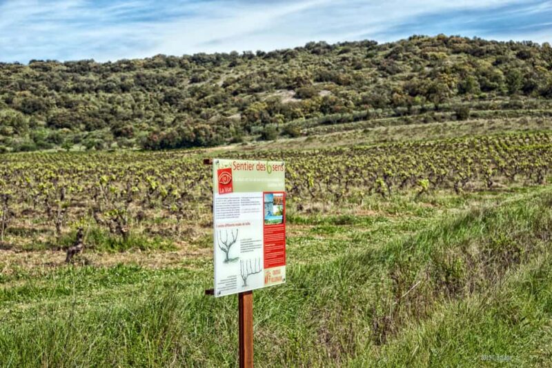 Château Villemagne: Tour of the cellar and tasting of our wines. - Who Will Enjoy This Tour Most?