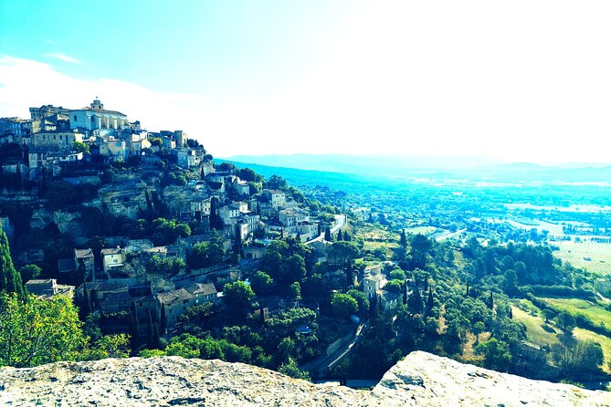 Chateauneuf du Pape and Luberon vineyard tour from Avignon - Who Will Enjoy This Provence Vineyard Tour?