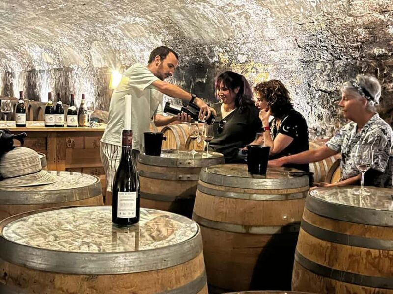 Châteauneuf-du-Pape: Exclusive Private Tour for Connoisseurs - Walking Through Heritage Vineyards and Learning About the Terroir