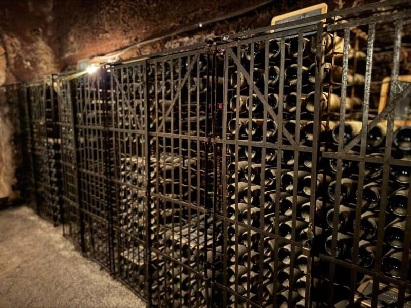 Châteauneuf-du-Pape: Full-day wine tour with sommelier - Tasting a Wide Range of Unique and Rare Wines