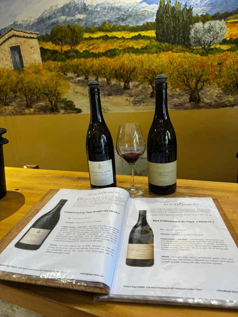 Châteauneuf-du-Pape: Full-day wine tour with sommelier - Flexibility with Shipping and Custom Orders