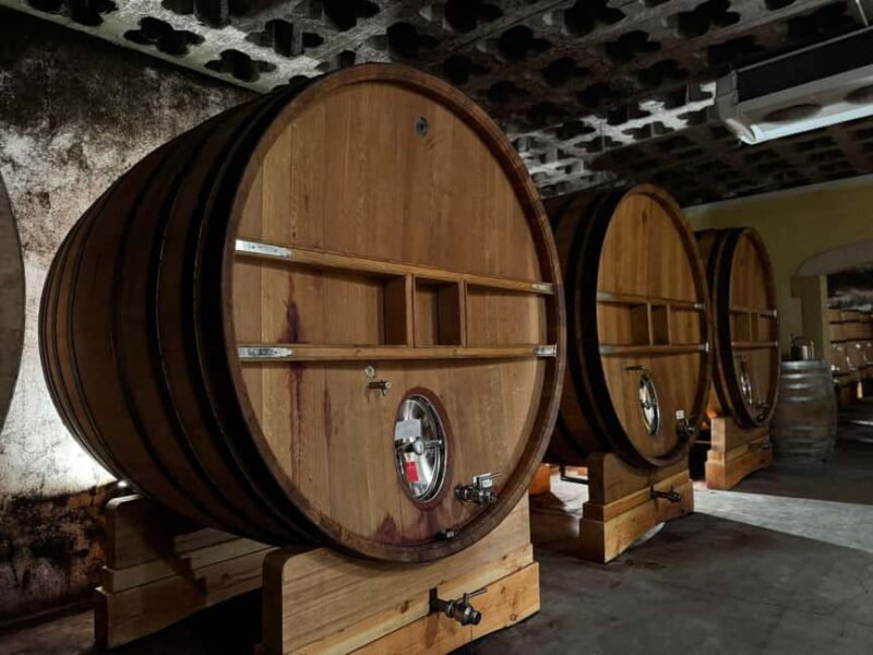 Châteauneuf-du-Pape: Full-day wine tour with sommelier - Suitability and Practical Considerations
