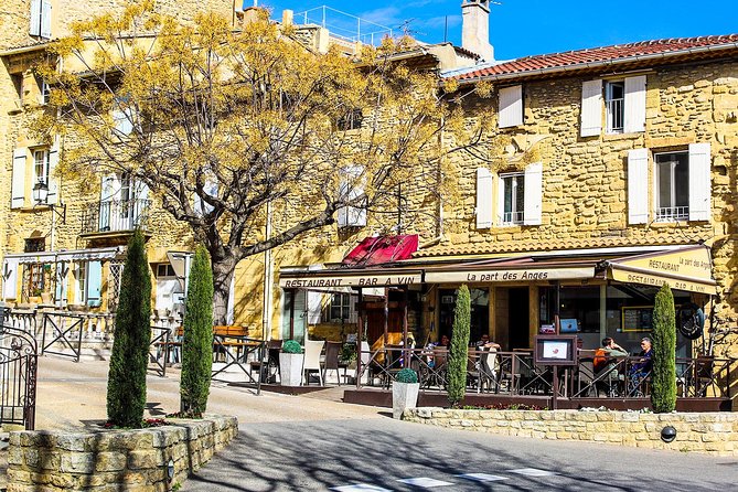 Châteauneuf Du Pape intensive vineyard & fine wine experience - Transport, Pacing, and Group Size