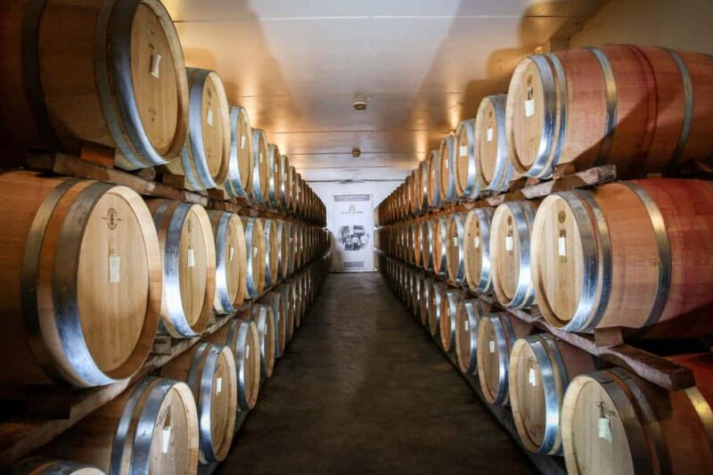 Châteauneuf du Pape: Visit the Alain Jaume vineyards and enjoy a gourmet meal - Final Thoughts on the Alain Jaume Experience