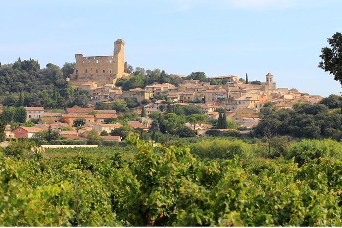 Châteauneuf du Pape Wine Day Tasting Tour including Lunch from Avignon - Why This Tour Stands Out Among Rhône Wine Tours