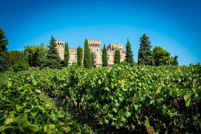 Chateauneuf du Pape wine tour - Discovering the Châteauneuf du Pape Vineyards