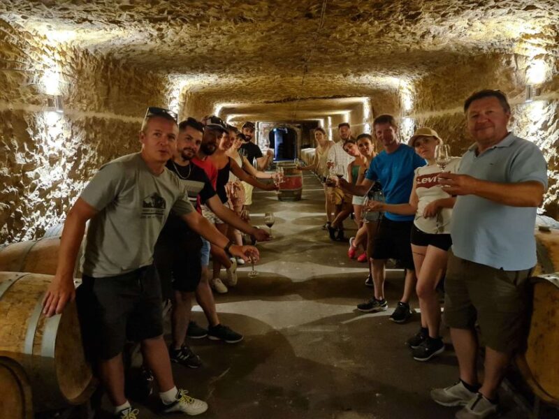 Chateaux de la Loire cycling ! - Scenic Ride Through Vineyards for Red and White Wines