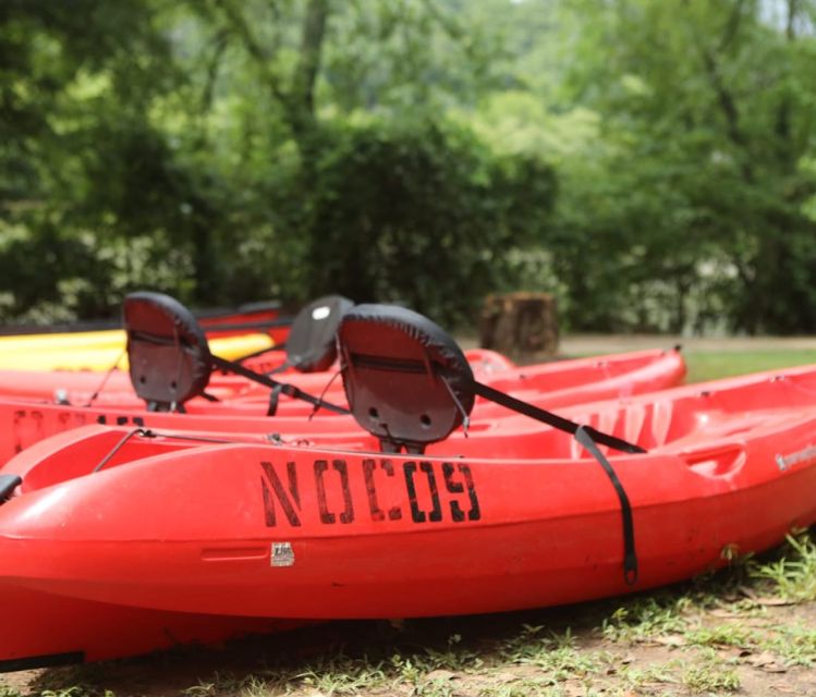 Chattahoochee Roswell: Single Kayak Rental - Key Points