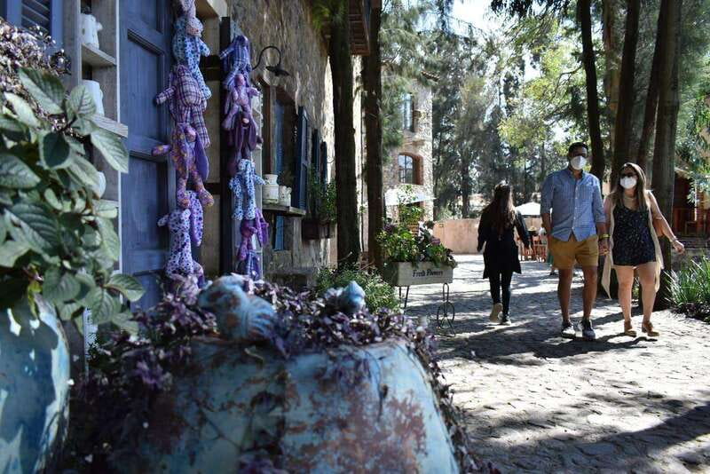 Chautla's Castle, Lavender Farm, and Valquirico Private Tour - Easy Logistics and Comfortable Transportation