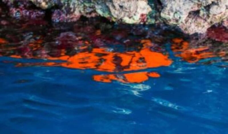 Check out our boat tour to Giardini Naxos, Taormina, Isola Bella, and the Blue Grotto - Accessibility and Booking Flexibility