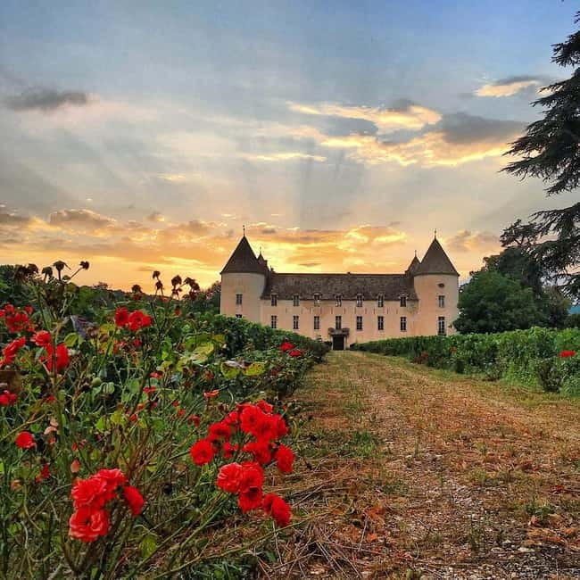Check out the Château de Savigny museums: planes, cars, motorcycles... - The Petit-Château: Tasting and Dining in a Historic Setting