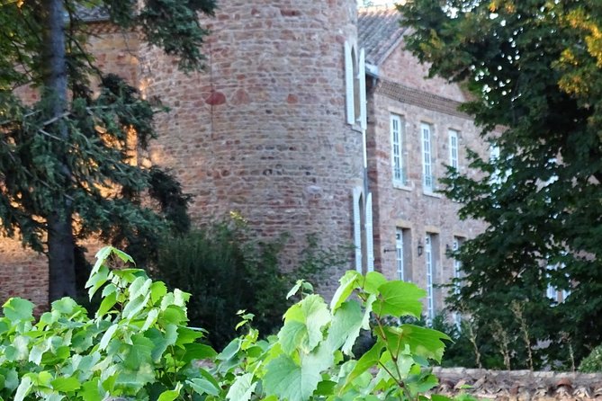 Cheese and Wine Accord Tour at Château de Champ-Renard - Practical Details and Group Size