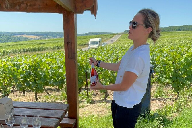 Cheese and Wine Pairing 1-Hour Session in Dijon - The Expertise of Emeline Pin: Knowledgeable and Approachable