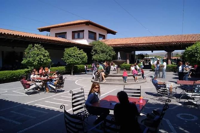 Cheese and Wine Route with 2 Towns, starting from Querétaro - Return to Querétaro