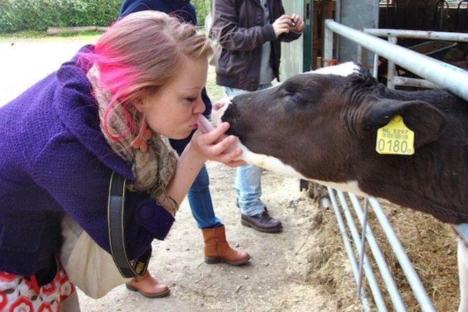 Cheese, Canals & Windmill Countryside E-Bike Tour Amsterdam - Guide Experience and Tour Atmosphere