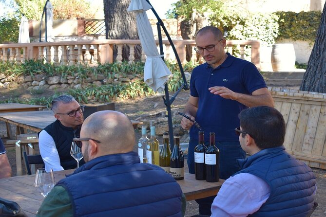 Cheese Factory Workshop with Wine Tasting in Requena, Valencia - The Value of the Full-Day Adventure