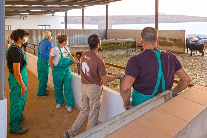 Cheese Making Workshop in Fuerteventura with Breakfast - Personalizing Your Own Fuerteventura Cheese
