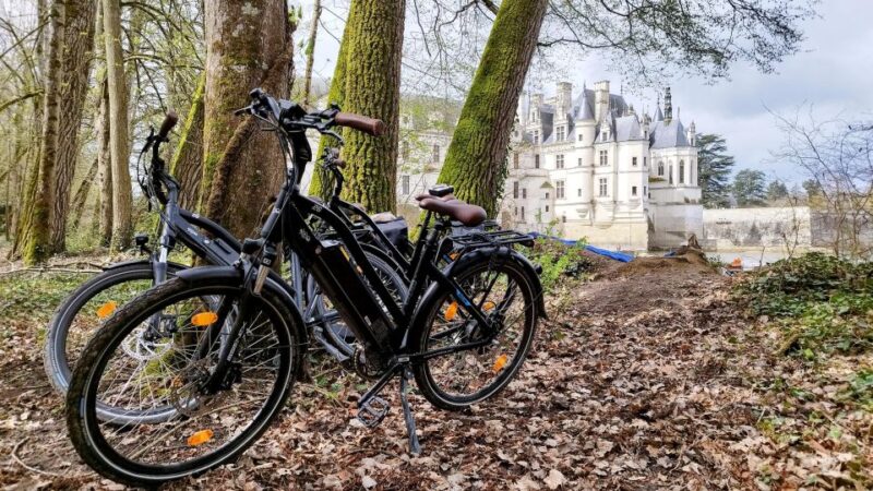 Chenonceau: guided ebike ride and wine & cheese picnic lunch - The Iconic Château de Chenonceau: A Castle Viewed from the Outdoors