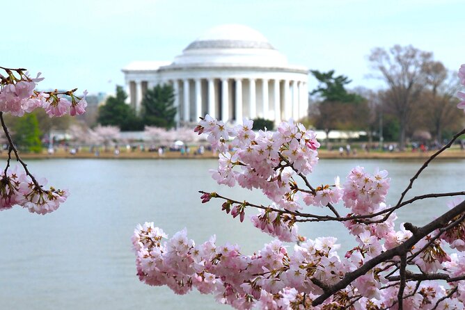 Cherry Blossoms & Monuments Tour with 10+ Stops and Boat Cruise - Starting Point and Tour Duration in Washington DC