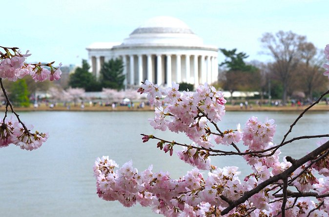 Cherry Blossoms & Monuments Tour with 10+ Stops and Boat Cruise - Viewing the Washington Monument from a Distance