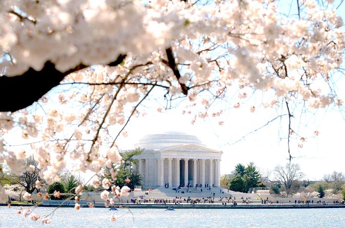 Cherry Blossoms & Monuments Tour with 10+ Stops and Boat Cruise - Seasonal Boat Cruise on the Potomac River