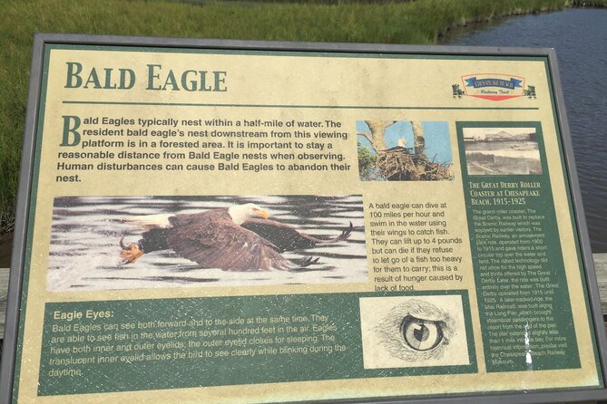 Chesapeake Beach Guided Walking Tour - Railway Trail - Explore Chesapeake Beach on a Historic Railway Trail Guided Walk for $41