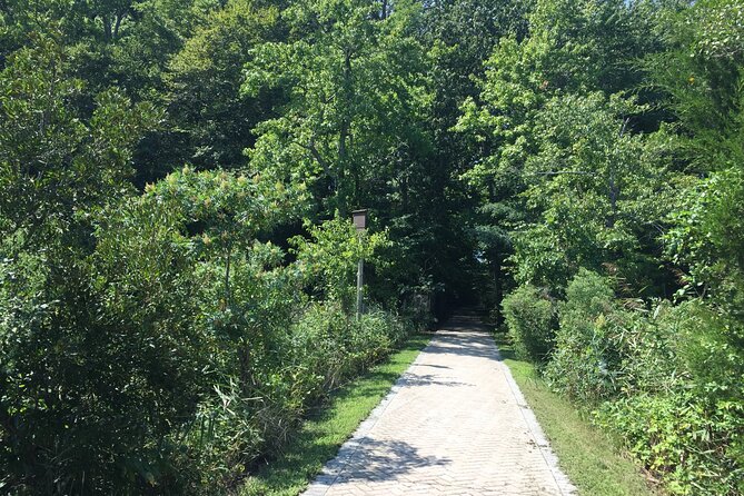 Chesapeake Beach Guided Walking Tour - Railway Trail - Who Will Enjoy This Tour?