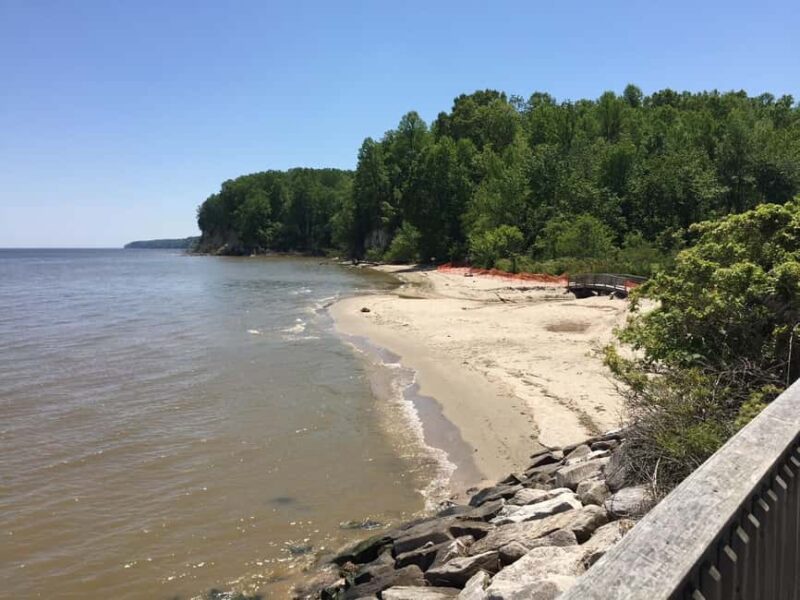 Chesapeake Beach: Guided Walking Tour to The Cliffs - Explore Chesapeake Beach and the Cliffs of Calvert for $41