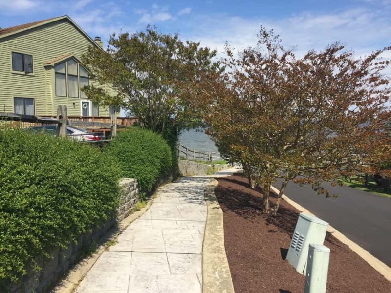 Chesapeake Beach: Guided Walking Tour to The Cliffs - Practical Details: Meeting, Accessibility, and What to Bring