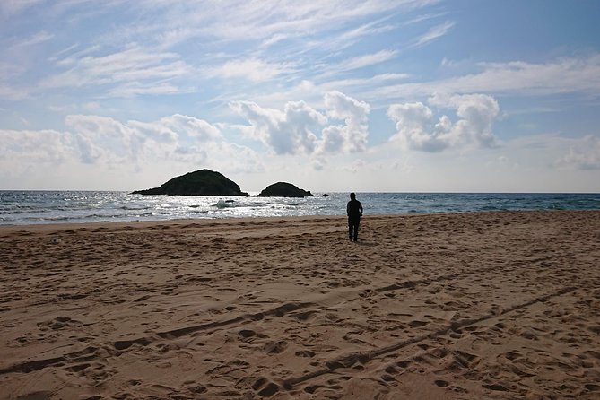 Chia Beaches Tour from Cagliari with van - Key Points