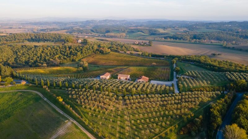 Chianciano Terme: Boutique Winery Tour with Tastings - Accessibility and Practical Details