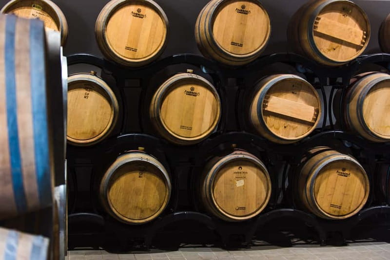 Chianciano Terme: Guided Winery Tour & Wine Tasting - Visiting Poggio del Moro: The Heart of Organic Winemaking