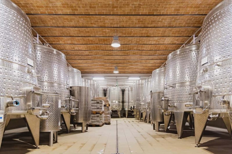 Chianciano Terme: Guided Winery Tour & Wine Tasting - The Wine Tasting Experience in the Cozy Wine Bar