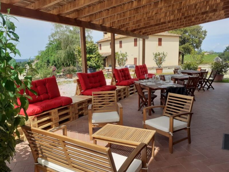 Chianti: 4 Wines +1 Oil Guided Tasting & Tour - Scenic Vineyard Walks Depending on the Season