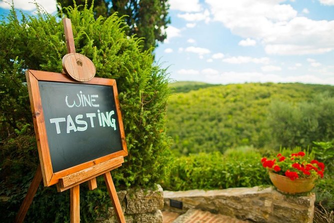 Chianti and Castle Small Group Tour from San Gimignano - Key Points