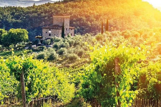 Chianti and Castle Small Group Tour from San Gimignano - Second Winery Visit Along Strada Chiantigiana