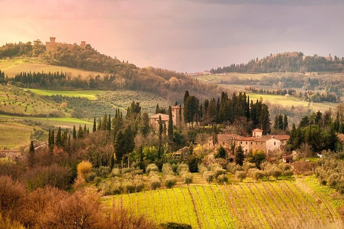 Chianti and Castle Small Group Tour from San Gimignano - Sampling Local Products and Snacks