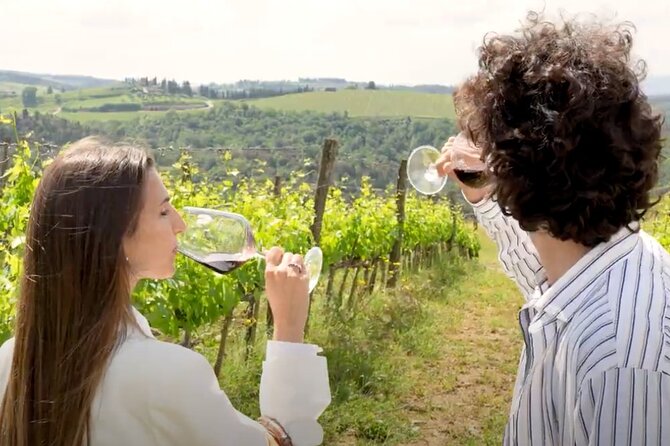 Chianti and Castle Small Group Tour from Siena with Wine Tasting - Key Points