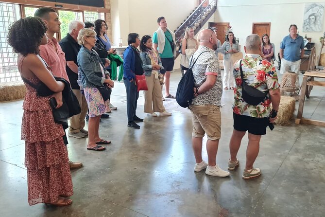 Chianti and Castles Tour from Siena Small Group - Second Wine Tasting and Olive Oil Sampling in the Heart of Chianti