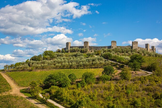 Chianti and Castles Tour from Siena Small Group - Return to Siena and End of the Tour