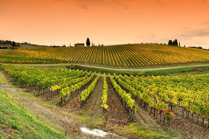 Chianti and Castles Tour from Siena Small Group - Practical Details and What’s Included