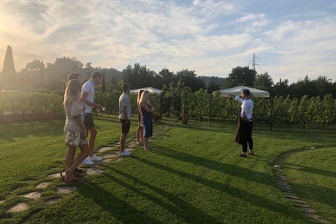 Chianti and San Gimignano - 2 Wineries with Pairing Lunch - From the Old Town to the Vineyards: A Scenic Journey in Tuscany