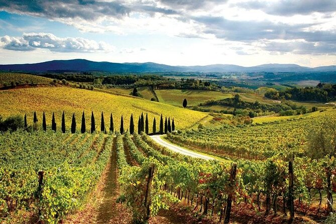 Chianti Classic Vintage Fiat 500 Tour - Discover the Charm of the Chianti Vintage Fiat 500 Tour