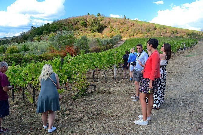 Chianti Classico and Super Tuscan 3 Winery Tour - Tasting at Three Distinctive Wineries