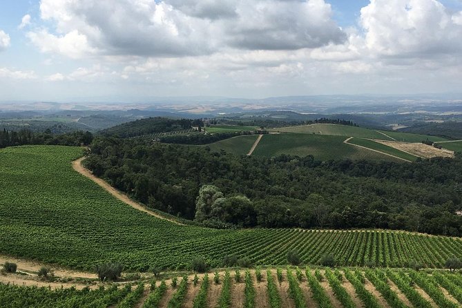 Chianti Classico E-Bike Tour - Wine Tasting and Light Lunch in the Heart of Chianti