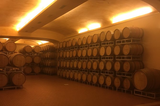 Chianti Classico E-Bike Tour - All-Inclusive Experience with All Necessary Equipment