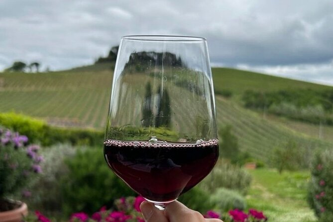 Chianti Classico wine Tour and Tasting - Exploring the Vineyards and Cellar